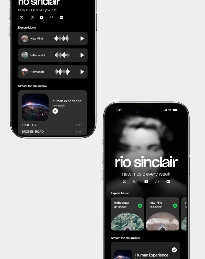 Customizable link in bio templates on Dimensions